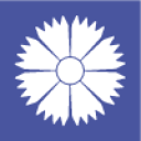 Compagnia aerea Belavia